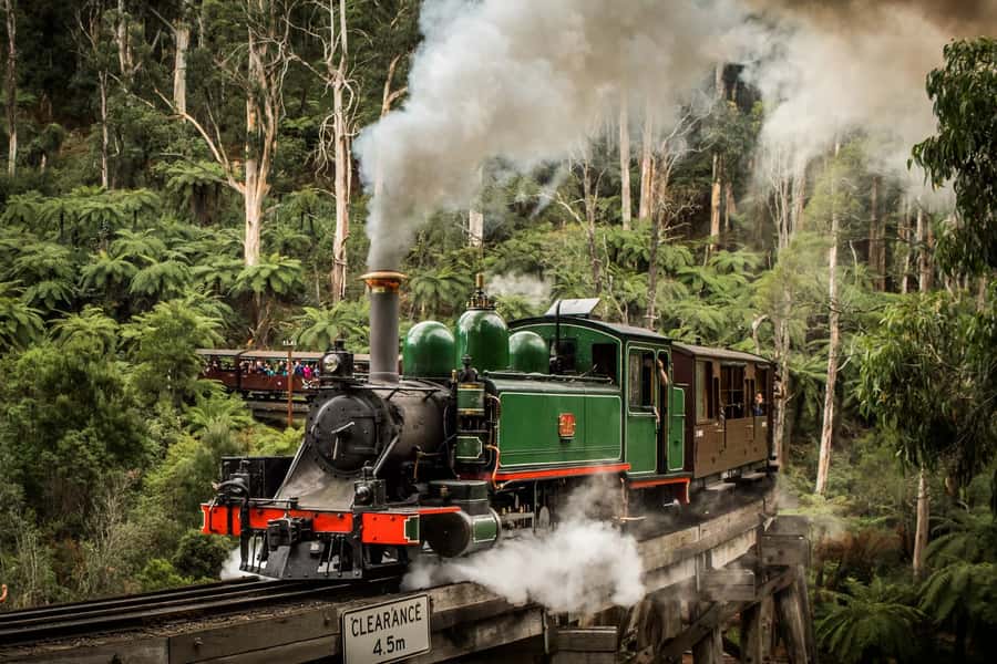 Puffing Billy Penguin Parade Winery Chocolaterie All-in-One - Yarra Valley Chocolaterie and Ice Cream: the sweet start that sets the tone