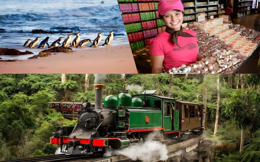 Puffing Billy Penguin Parade Winery Chocolaterie All-in-One - Puffing Billy Steam Train: the ride you plan the whole day around