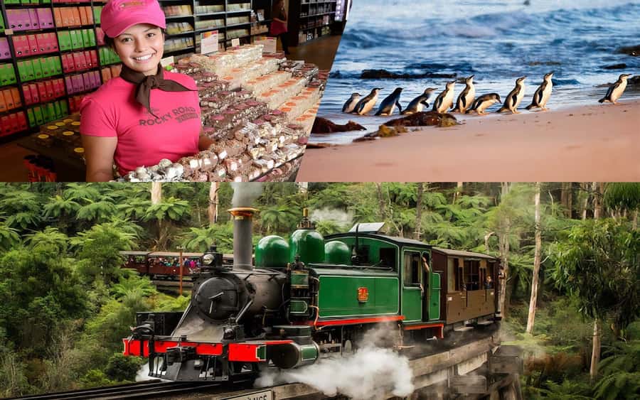 Puffing Billy Penguin Parade Winery Chocolaterie All-in-One - Rochford Wines: cool-climate tasting without the stuffy feel