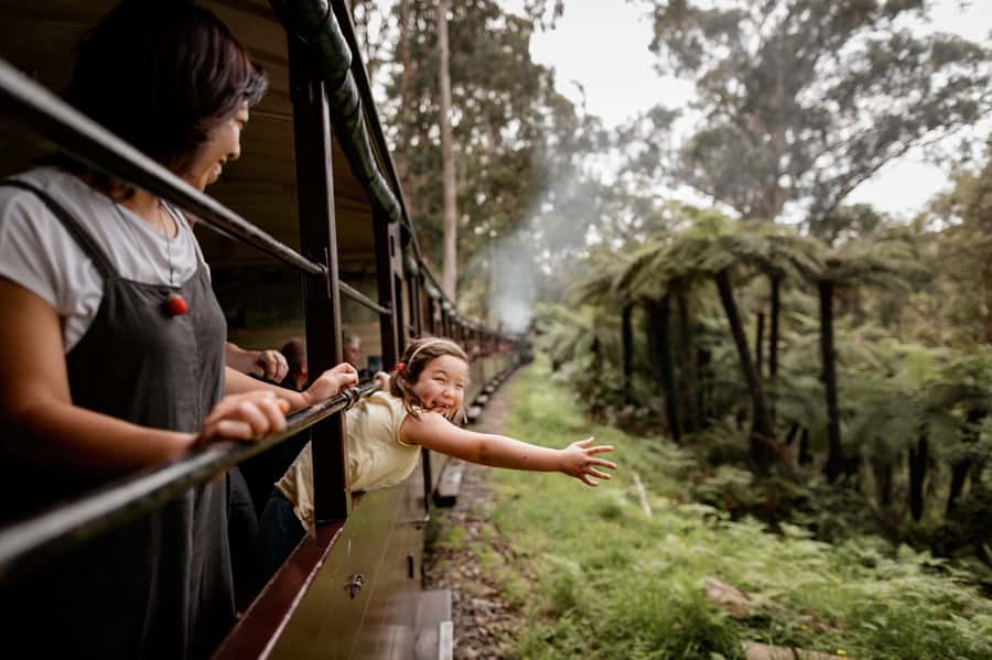 Puffing Billy Railway: Heritage Steam Train Journey - Key highlights at a glance