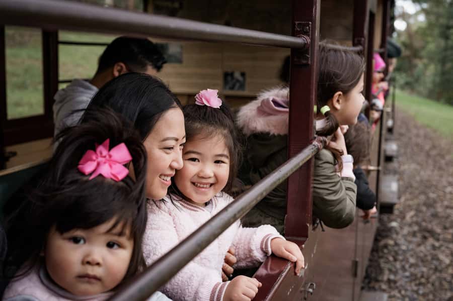 Puffing Billy Railway: Heritage Steam Train Journey - Practical comfort tips for carriage time