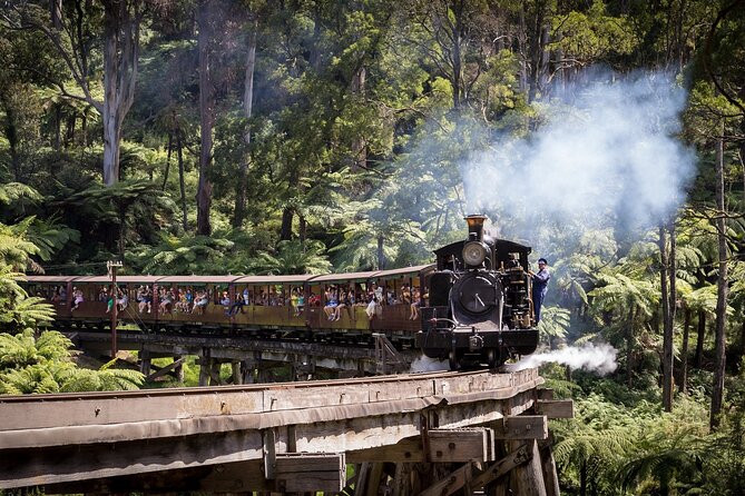 Puffing Billy & Rainforest Tour from Melbourne - The one-hour Puffing Billy steam ride through the forest
