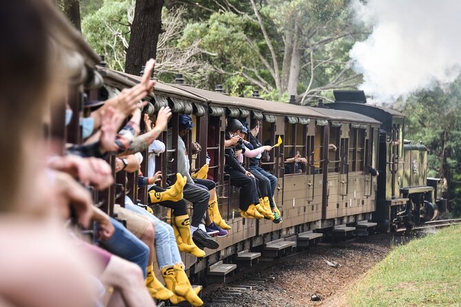Puffing Billy Steam Train and Penguins Wildlife Tour - Key highlights before you go