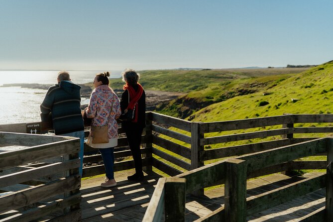 Puffing Billy Steam Train and Penguins Wildlife Tour - The Nobbies and Seal Rocks Boardwalks: Coastal Views When the Timing Works