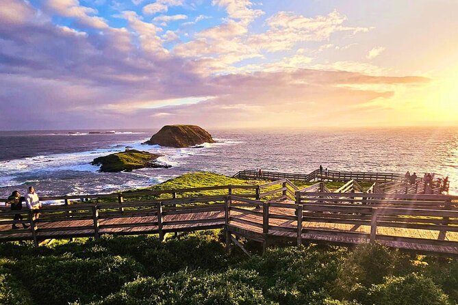 Puffing Billy Tour and Penguin Parade from Melbourne - Phillip Island stops beyond the penguins: Nobbies seals and seasonal beach time
