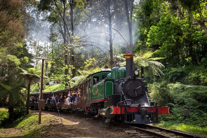 Puffing Billy Tour and Penguin Parade from Melbourne - What to pack for comfort (and to avoid day-killers)