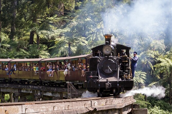 Puffing Billy Train and Phillip Island Penguin Parade Day Tour - Maru Koala and Animal Park: the stop you choose to go deeper