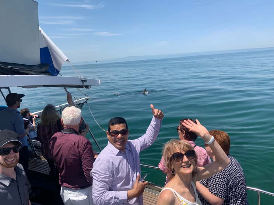 Queenscliff: 1.5hr Harbour Wildlife Sightseeing Cruise Tour - From Queenscliff Harbour onto Maureen .M: the start that sets the mood