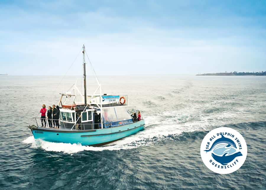 Queenscliff Harbour: 3.5hr Seal & Dolphin Snorkelling Tour - Gear and comfort: wetsuit warmth and what you should bring