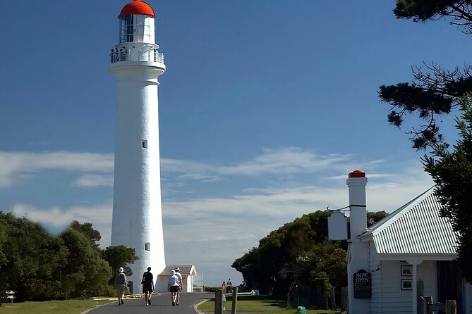 Reimagined Great Ocean Road 1-Day Tour from Melbourne - The Twelve Apostles: iconic views with enough time to feel it