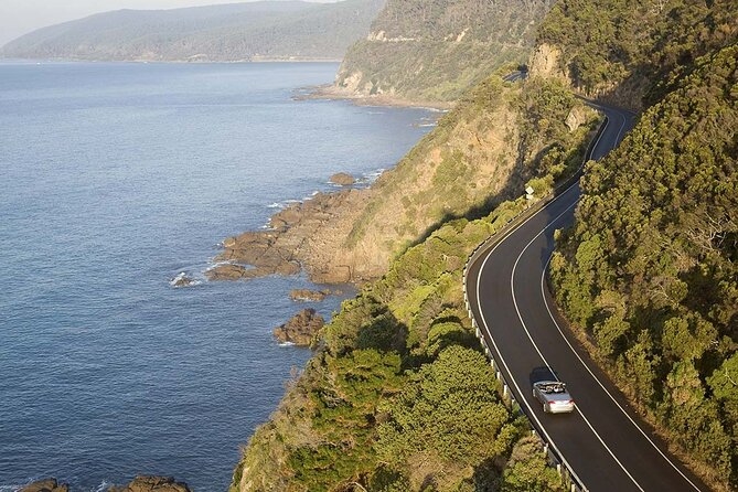 Reimagined Great Ocean Road 1-Day Tour from Melbourne - Great Otway National Park, eucalyptus air, and a koala chance