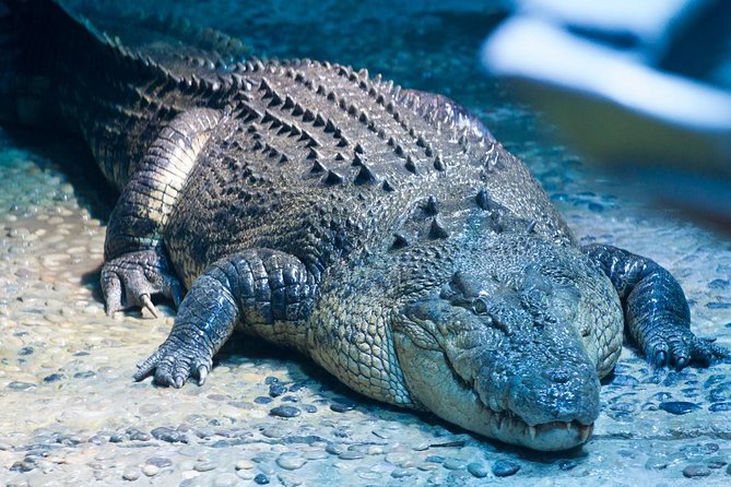 SEA LIFE Melbourne Aquarium Admission Ticket - 4D film and interactive stops that help the time fly