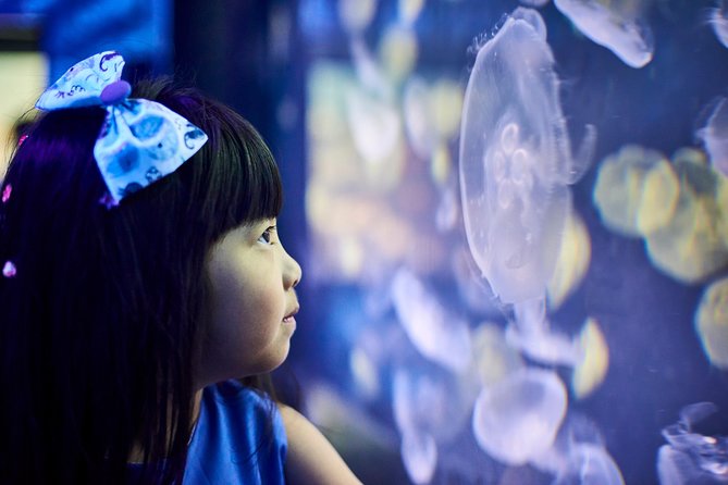 SEA LIFE Melbourne Aquarium Admission Ticket - Getting around inside: lifts, floors, and finding your way