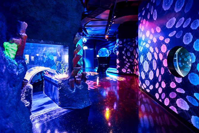 SEA LIFE Melbourne Aquarium Admission Ticket - Penguins on snow: Antarctica at SEA LIFE Melbourne Aquarium