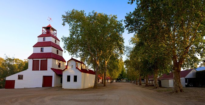 Self-Guided Gourmet Culinary Cycling Day Tour From Beechworth - Regular bike or e-bike for $25: what actually changes your day