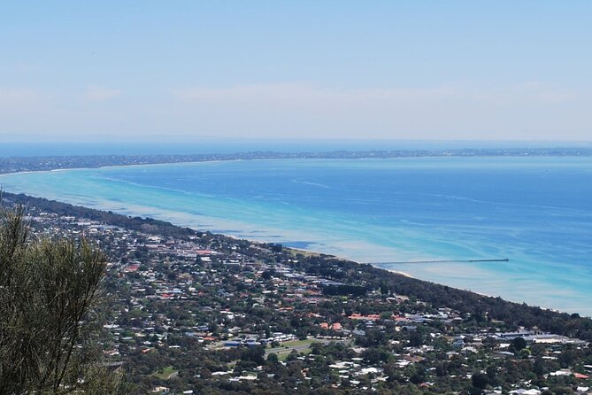 Shore Excursion Melbourne, Sights, Kangaroos, Koalas Lunch & Wine - Arthur’s Seat Views, Short Summit Time, Big Payoff