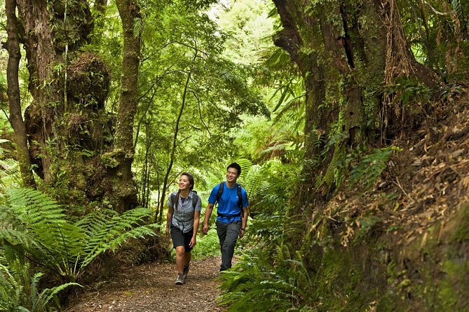 Small-Group Great Ocean Road Classic Day Tour from Melbourne - Loch Ard Gorge, the Shipwreck Coast Story You Can See