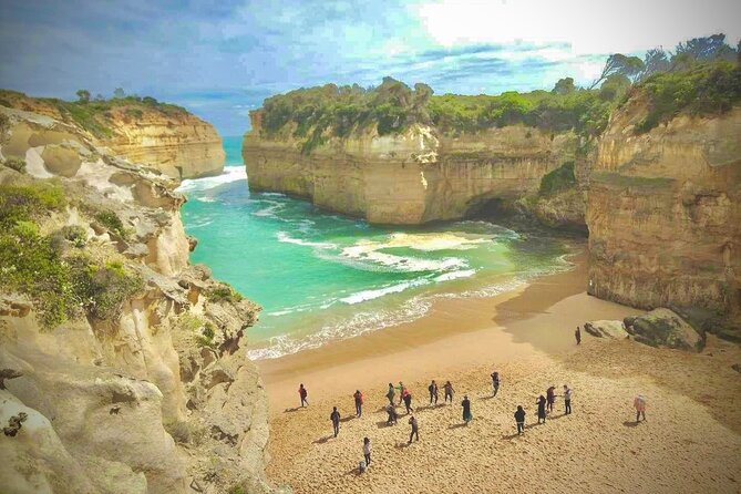 Small group Great Ocean Road Reverse & Wildlife spotting - Why this reverse Great Ocean Road day feels easier