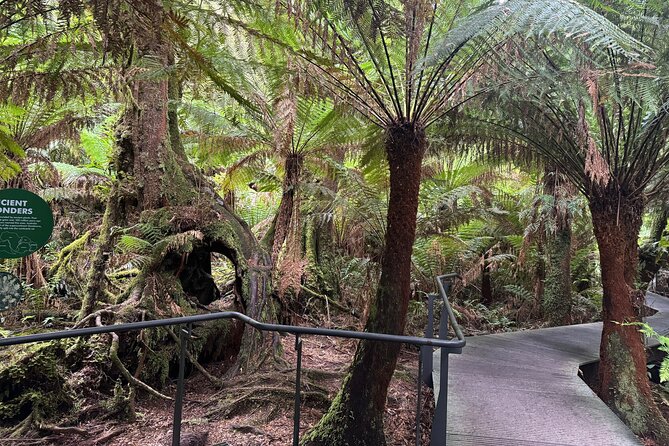 Small group Great Ocean Road Reverse & Wildlife spotting - Loch Ard Gorge at 9:45 am: quieter views of a famous story