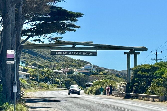 Small group Great Ocean Road Reverse & Wildlife spotting - Kennett River at 2:55 pm: koalas and parrots in a tight stop