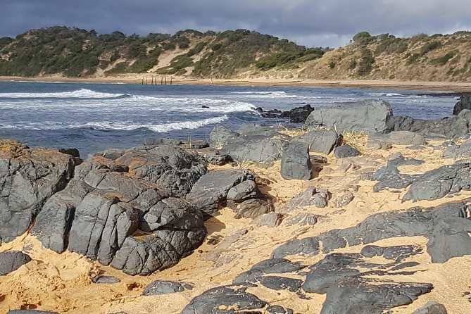 Small Group Personalised Private Tours Melbourne (up to 14 pax) - Phillip Island and Penguin Parade planning, ticketing included the right way