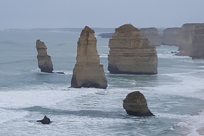 Small Group Personalised Private Tours Melbourne (up to 14 pax) - Picking the right day: Great Ocean Road, Phillip Island, Yarra Valley, or Mornington