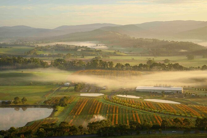 Sunrise Hot Air Balloon Flight over Yarra Valley + Breakfast - Price and Value: Is $341.64 Worth It?