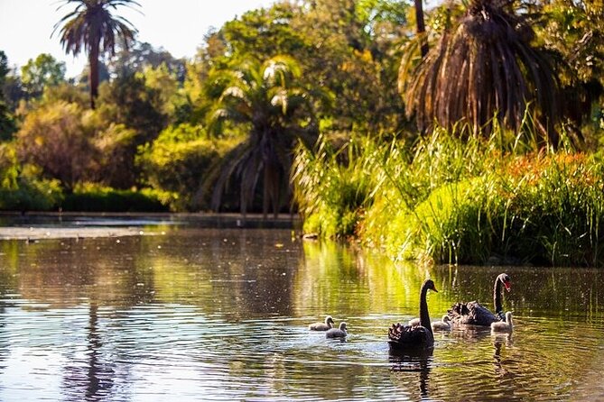 The Explorer - Melbourne Gardens - Weather reality check: rain can change what you see