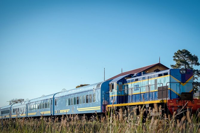 The Q Train - Q Class Social Dining - Inside the Carriage: Comfort, Air-Conditioning, and the Jacket Test