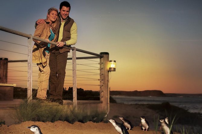 The Ultimate Melbourne Attractions Pass - What the Best Feedback Gets Right