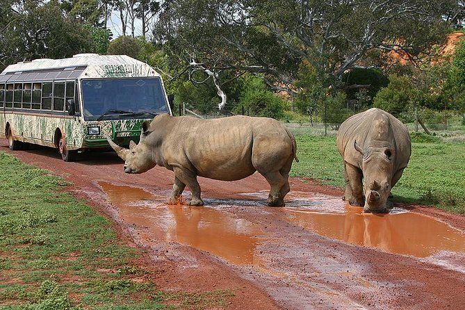 The Ultimate Melbourne Attractions Pass - Smartvisit App and Mobile Entry That Keeps You Moving