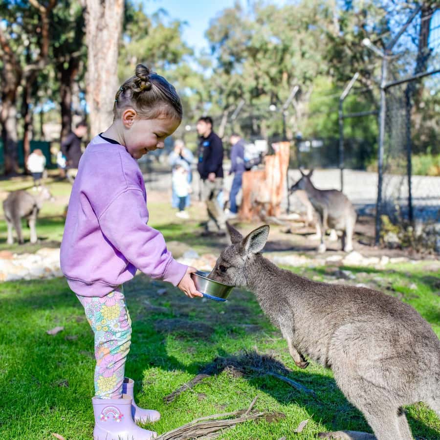 Tynong/Melbourne: Gumbuya World Theme Park Entry Ticket - Use Express Q like a strategy, not a luxury