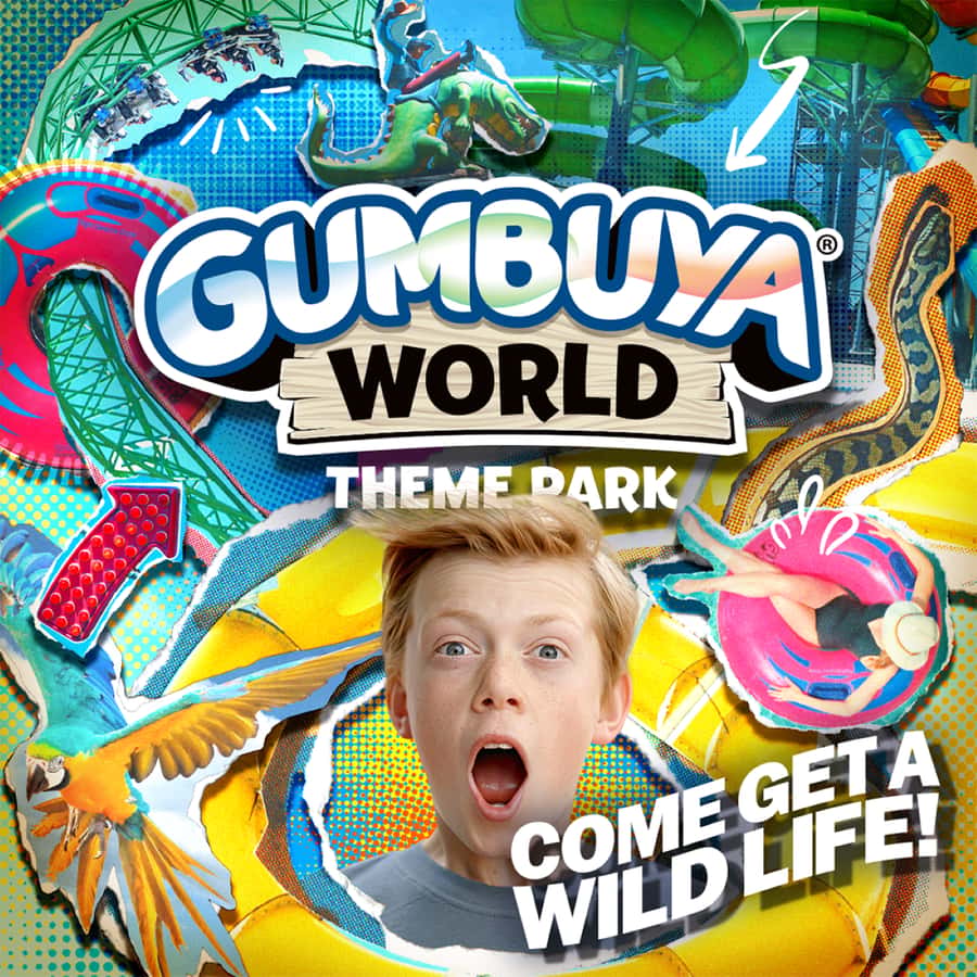Tynong/Melbourne: Gumbuya World Theme Park Entry Ticket - Who should book this, and who might want a different plan
