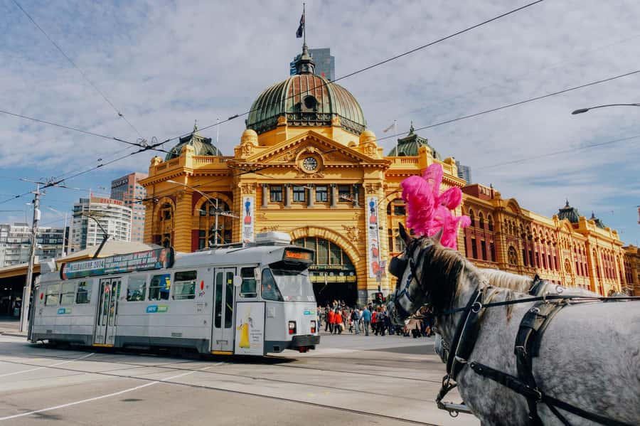 Ultimate Melbourne Walking Tour: History, Laneways & Culture - Chinatown to State Library: culture stops that broaden the story