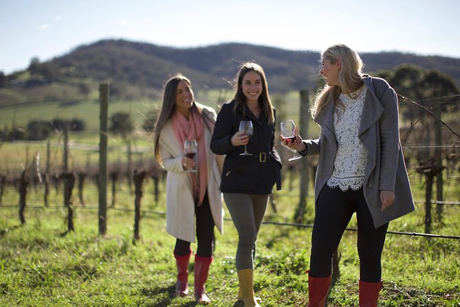 Ultimate Yarra Valley Chandon, Soumah & De Bortoli Cheese & Wine - The scenic drive, and why kangaroos are a bonus