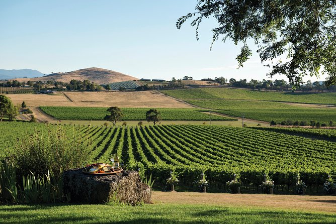 Ultimate Yarra Valley Chandon, Soumah & De Bortoli Cheese & Wine - Group size, pacing, and why timing can make or break it