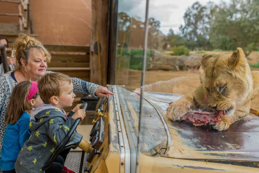 Werribee Open Range Zoo: Entry Ticket - Werribee Open Range Zoo from Melbourne: why this works as a day trip