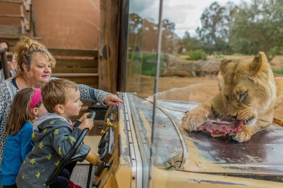 Werribee Open Range Zoo: Entry Ticket - The Australian Journey walk: koalas, emus, and a change of pace