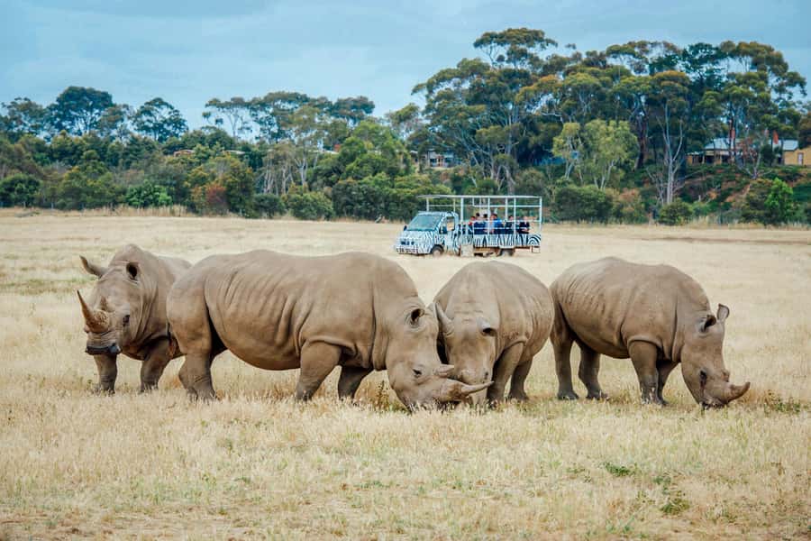 Werribee Open Range Zoo: Entry Ticket - What your Entry Ticket really includes (and what it does not)