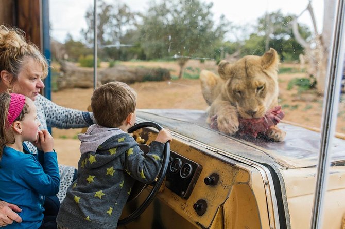 Werribee Open Range Zoo General Admission Ticket - Key things to know before you go