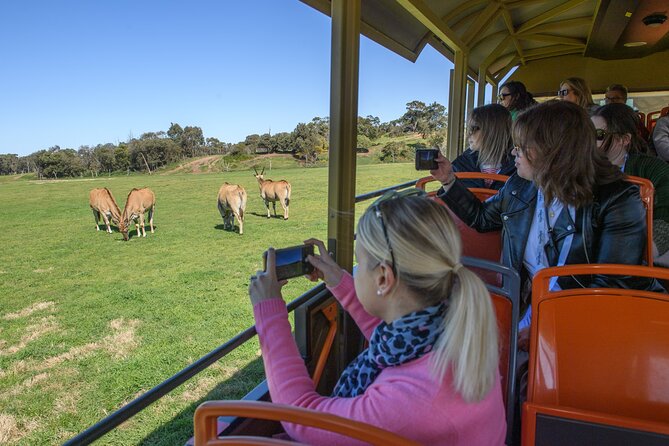 Werribee Zoo & Werribee Mansion Tour - Food plan: budgeting lunch without ruining the day