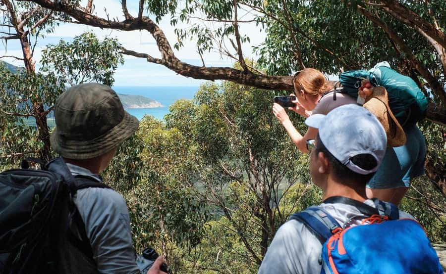 Wilson's Promontory National Park Day Tour From Melbourne - Mt Bishop Summit Walk: panoramic views with an easy-to-medium grind