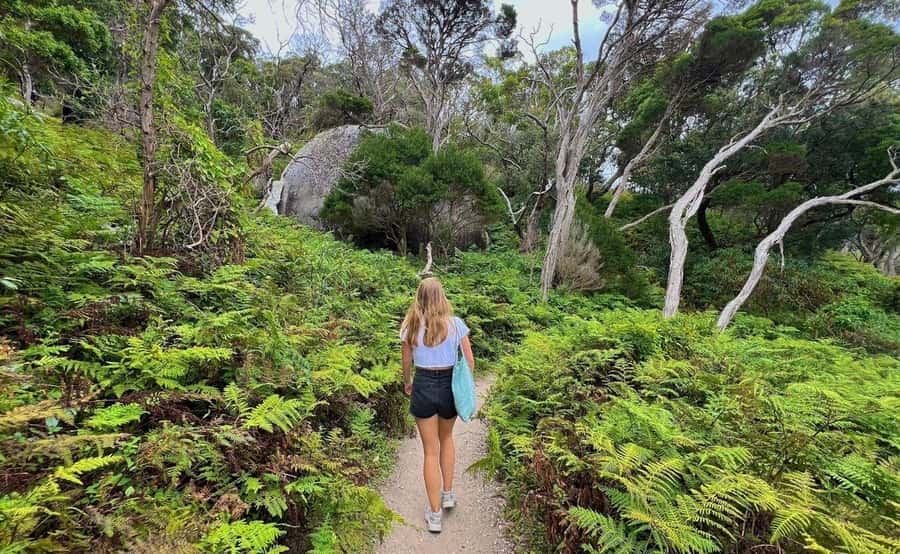 Wilson's Promontory National Park Day Tour From Melbourne - Wildlife Walk at the historic airfield: spotting natives with a guide