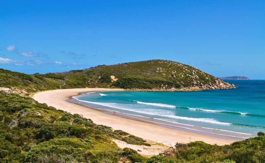 Wilson's Promontory National Park Day Tour From Melbourne - Price and value: what $112 actually buys you