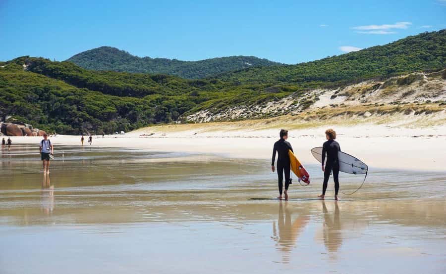 Wilson's Promontory National Park Day Tour From Melbourne - Getting to the park is half the battle, and they plan for it