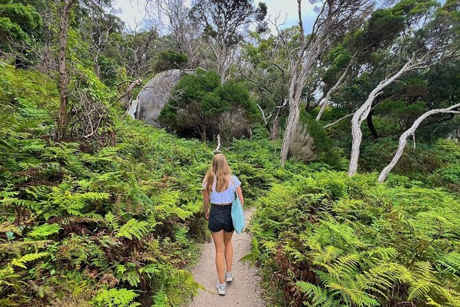 Wilson's Promontory Small Group Eco Tour from Melbourne - Mount Bishop Walking Track: The Day’s Main Effort and Best Views