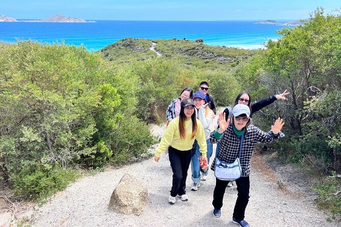 Wilson's Promontory Small Group Eco Tour from Melbourne - Wildlife Stroll at the Former Airfield, Plus Dusk Wombats
