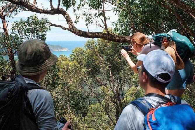 Wilson's Promontory Small Group Eco Tour from Melbourne - Price and Value at About $121.21 per Person
