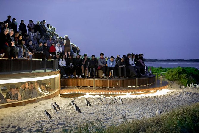 Wilsons Prom Whale Cruise - Price and value: is $182.90 worth it?