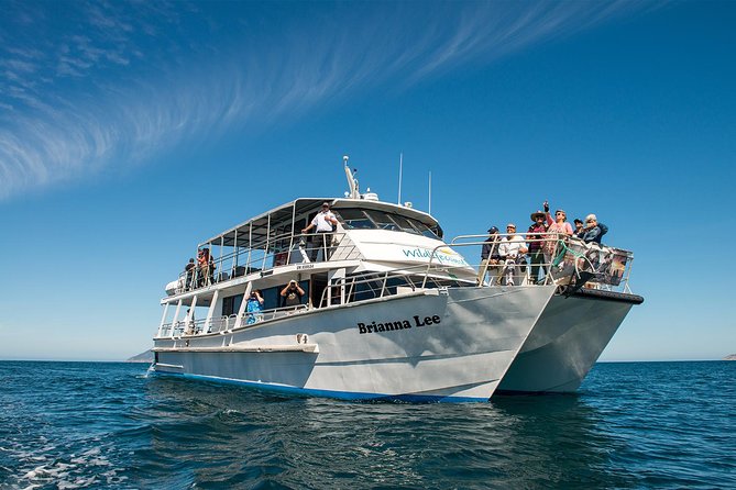 Wilsons Prom Whale Cruise - The food factor: why morning tea and lunch make this cruise better value